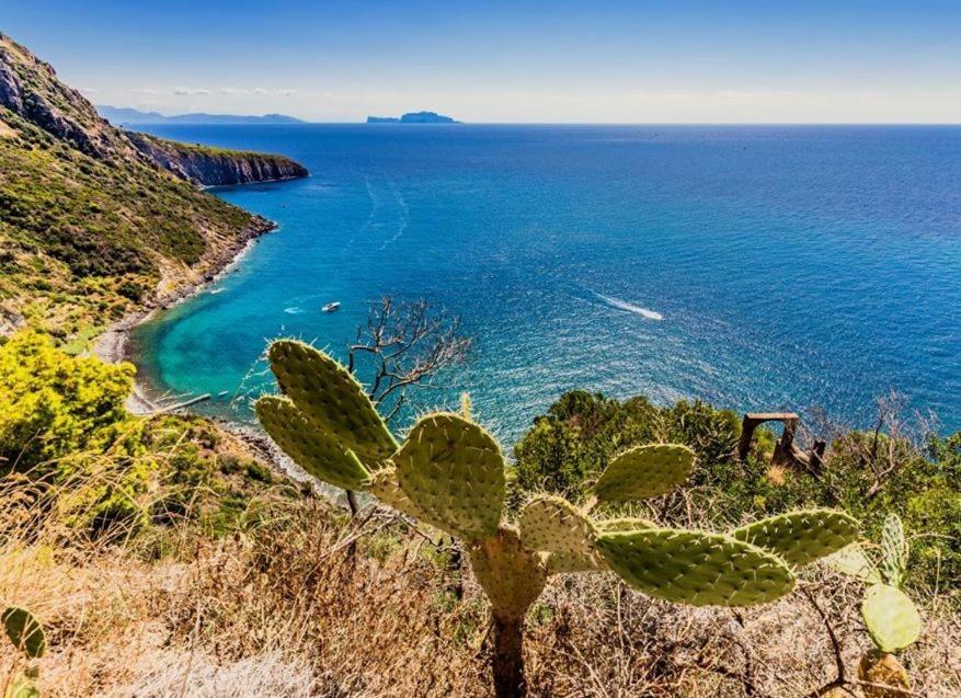 Hotel San Lorenzo Thermal Spa Forio di Ischia 외부 사진